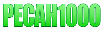 Logo PECAH1000
